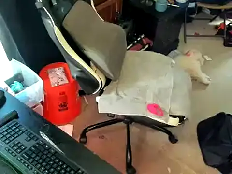 Daddysthick online show from 29, 3, 2026