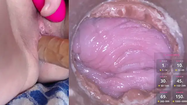 danigirl866 online show from 12, 1, 2025