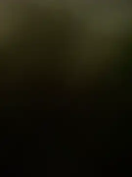 ft2022W online show from 2, 4, 2026