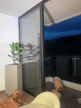 Snapshot of Helenbronwx chatting on 22, 12, 2024 Helenbronwx online show from 22, 12, 2024