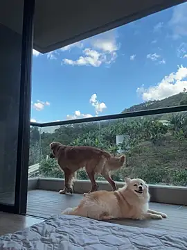 Snapshot of Helenbronwx chatting on 17, 1, 2025 Helenbronwx online show from 17, 1, 2025