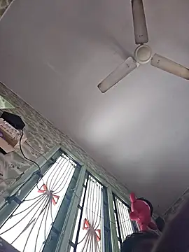 rooster6 online show from 26, 3, 2026