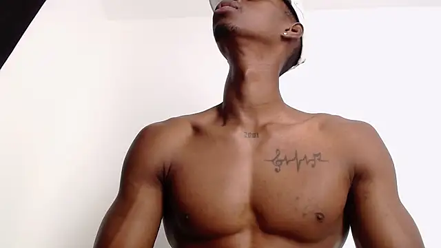 drake brwon 23 online show from 27, 9, 2025