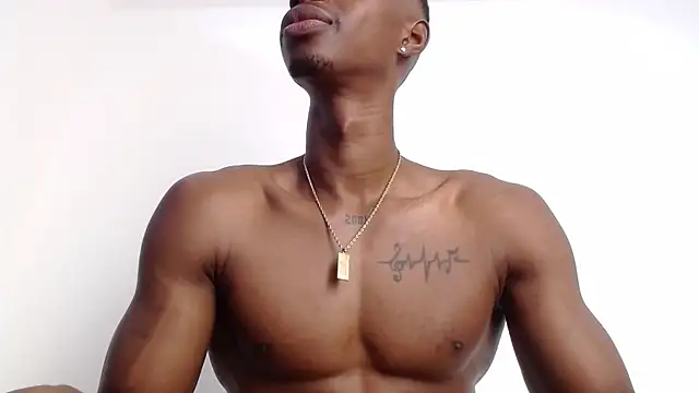 drake brwon 23 online show from 1, 10, 2025