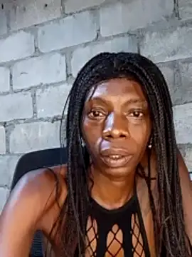 nzanizy online show from 7, 11, 2025