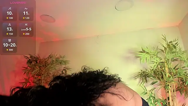  aish a  online show from 16, 12, 2025