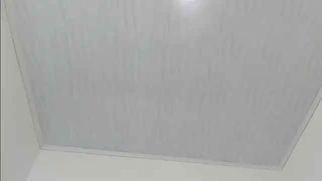 merlyna goldens online show from 22, 11, 2025