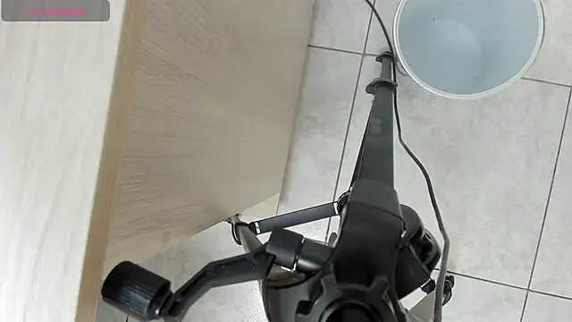 valery smitd online show from 12, 12, 2024