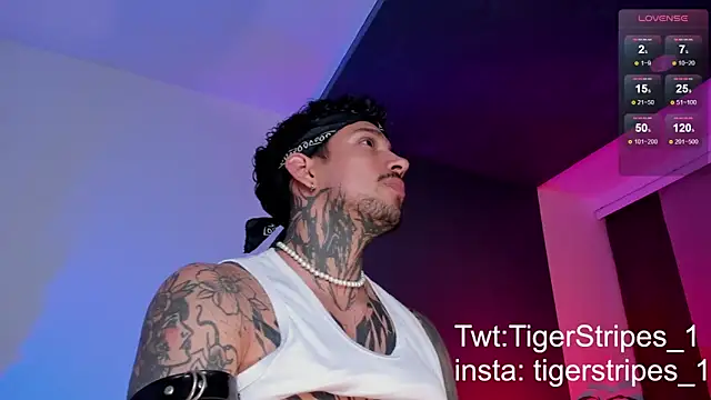 TigerStripes1  online show from 11, 3, 2025