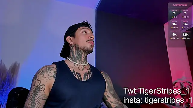 TigerStripes1  online show from 15, 3, 2025