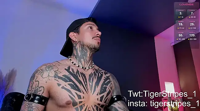 TigerStripes1  online show from 16, 3, 2025