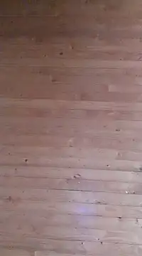 Snapshot of aliosa23 chatting on 21, 1, 2025 aliosa23 online show from 21, 1, 2025