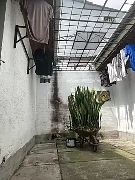 oliver price1 online show from 15, 9, 2025