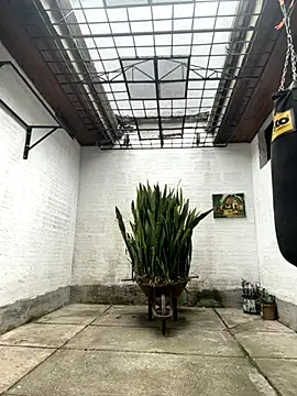 oliver price1 online show from 15, 10, 2025