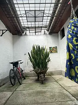 oliver price1 online show from 6, 4, 2026