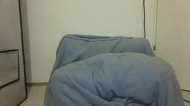 Snapshot of GeilerBull chatting on 12, 11, 2025 GeilerBull online show from 12, 11, 2025