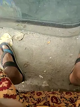 Kolkata   Boy online show from 9, 2, 2025