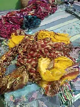 Shamimosman online show from 27, 2, 2026